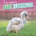 Cover: Baby Flamingos - Capstone Press