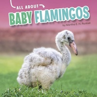 Enlarge image Cover: Baby Flamingos - Capstone Press