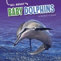Cover: Baby Dolphins - Capstone Press