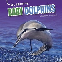 Enlarge image Cover: Baby Dolphins - Capstone Press