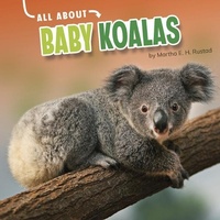 Enlarge image Cover: Baby Koalas - Capstone Press