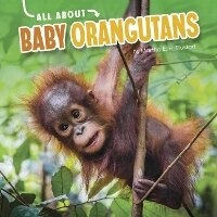 Enlarge image Cover: Baby Orangutans - Capstone Press