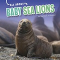 Cover: Baby Sea Lions - Capstone Press