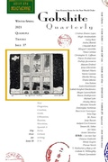 Cover: Gobshite Quarterly 37/38, Quadriple Trouble - Gobq LLC