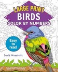 Cover: Large Print Color by Numbers Birds - Sirius Entertainment