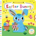 Cover: My Magical Easter Bunny - Harry N. Abrams