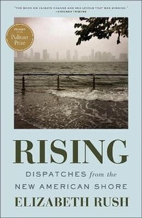 Enlarge image Cover: Rising - Turtleback