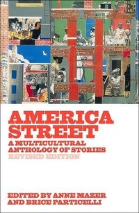 Enlarge image Cover: America Street - Turtleback