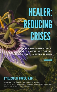 Enlarge image Cover: Healer: Reducing Crises - Healer