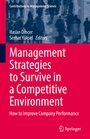 Cover: Management Strategies to Survive in a Competitive Environment - Springer