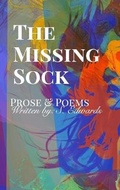 Cover: The Missing Sock - Blurb