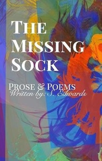 Enlarge image Cover: The Missing Sock - Blurb
