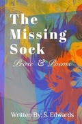 Cover: The Missing Sock - Blurb