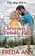 Cover: Christmas in Twinkle Falls - Freda Ann