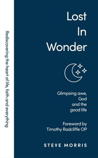 Enlarge image Cover: Lost in Wonder - Authentic Media