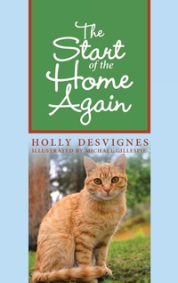 Enlarge image Cover: The Start of the Home Again - LIFERICH