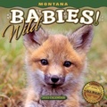 Cover: 2022 Montana Wild Babies Mini Wall Calendar - Farcountry Press
