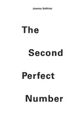 Cover: The Second Perfect Number - Finishing Line Press