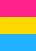 Cover: Pansexual Pride Flag Journal - Bunny 17 Media