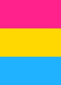 Enlarge image Cover: Pansexual Pride Flag Journal - Bunny 17 Media