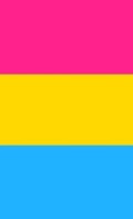 Cover: Pansexual Pride Flag Journal - Bunny 17 Media