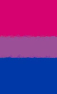 Enlarge image Cover: Bisexual Pride Flag Journal - Bunny 17 Media