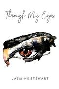 Cover: Through My Eyes - Palmetto Publishing