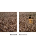Cover: Groundswell - Essay Press