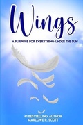 Cover: Wings - Pearly Gates Publishing LLC