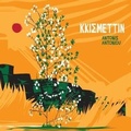 Cover: Kkismettin - Broken Silence / Hamburg