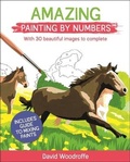 Cover: Amazing Painting by Numbers - Sirius Entertainment