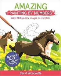 Enlarge image Cover: Amazing Painting by Numbers - Sirius Entertainment