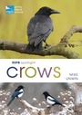 Cover: RSPB Spotlight Crows - Bloomsbury Wildlife