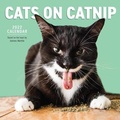 Cover: 2022 Cats on Catnip Calendar - Workman Publishing