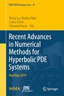 Cover: Recent Advances in Numerical Methods for Hyperbolic PDE Systems - Springer