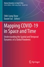 Cover: Mapping COVID-19 in Space and Time - Springer