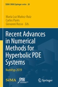 Cover: Recent Advances in Numerical Methods for Hyperbolic PDE Systems - Springer