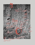 Cover: TonTonTon - Schlebr&uuml;gge.Editor