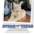 Cover: Steak Goes to Texas - Bookbaby