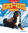 Cover: Search and Rescue Dogs - Bearport Books