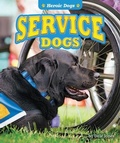 Cover: Service Dogs - Bearport Books