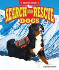 Cover: Search and Rescue Dogs - Bearport Books