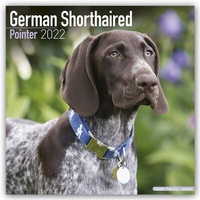 Bild vergrößern Bild: German Shorthaired Pointer - Deutsch Kurzhaar 2022 - 16-Monatskalender - Avonside Publishing Ltd