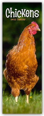Abbildung von: Chickens - Hühner 2022 - Avonside Publishing Ltd
