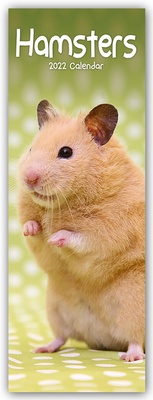 Abbildung von: Hamsters - Hamster 2022 - Avonside Publishing Ltd