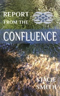 Cover: Report from the Confluence - SHANTI ARTS LLC