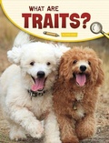 Cover: What Are Traits? - Pebble Books