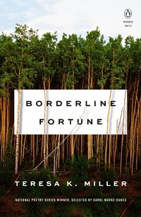 Enlarge image Cover: Borderline Fortune - Penguin Books