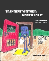 Abbildung von: Transient Visitors - Boyledown Book House