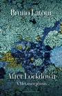 Cover: After Lockdown - Polity Press